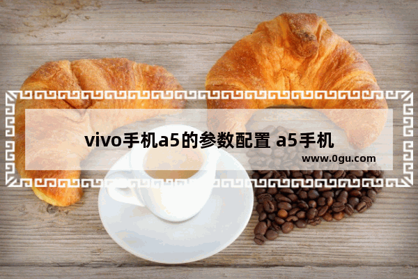 vivo手机a5的参数配置 a5手机