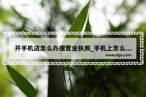 开手机店怎么办理营业执照_手机上怎么进行营业执照公示