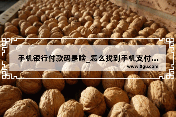 手机银行付款码是啥_怎么找到手机支付的付款码