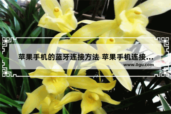 苹果手机的蓝牙连接方法 苹果手机连接蓝牙