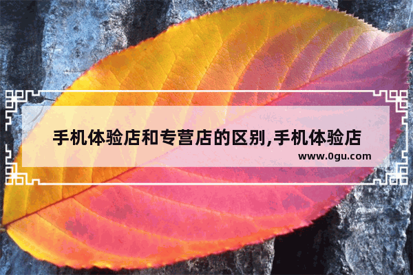 手机体验店和专营店的区别,手机体验店