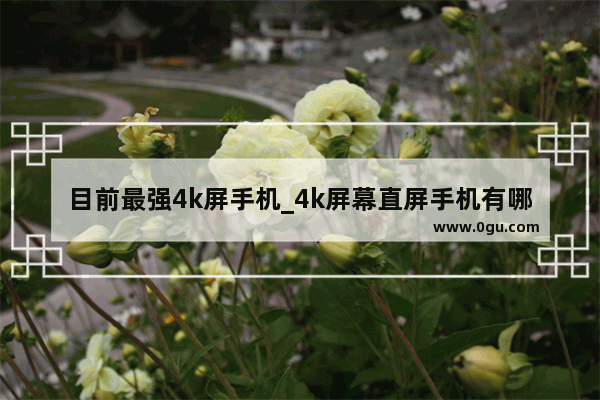 目前最强4k屏手机_4k屏幕直屏手机有哪些