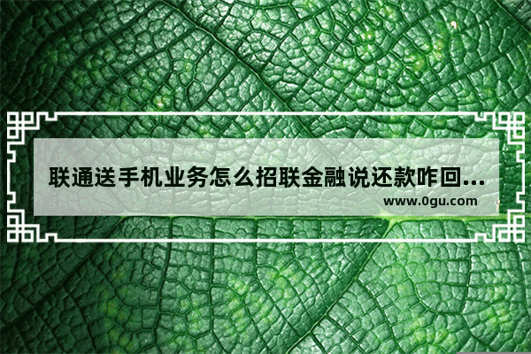 联通送手机业务怎么招联金融说还款咋回事_联通预存99元送手机