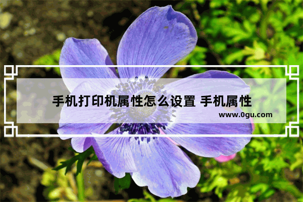 手机打印机属性怎么设置 手机属性