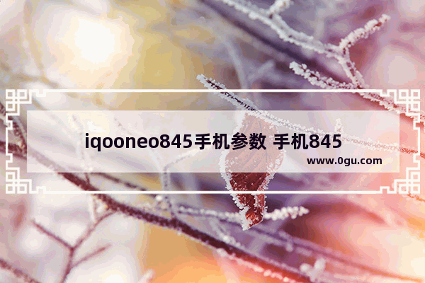 iqooneo845手机参数 手机845
