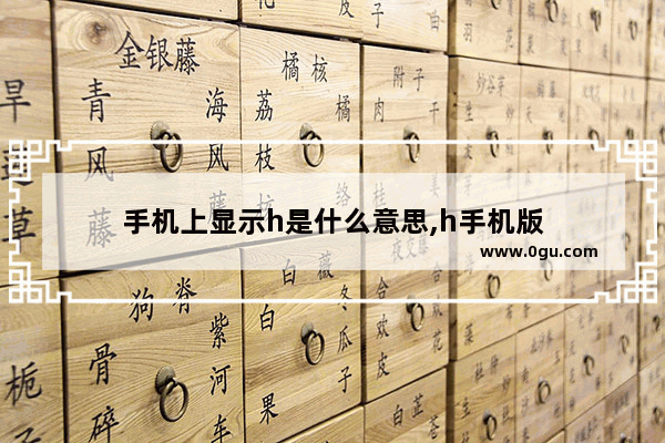 手机上显示h是什么意思,h手机版