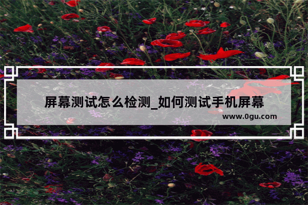 屏幕测试怎么检测_如何测试手机屏幕