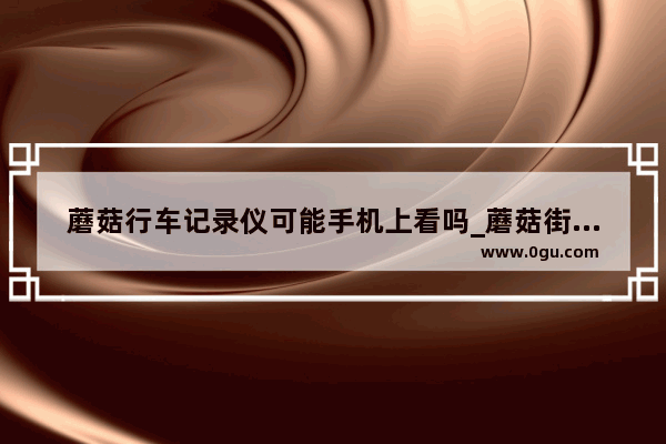 蘑菇行车记录仪可能手机上看吗_蘑菇街有卖手机吗
