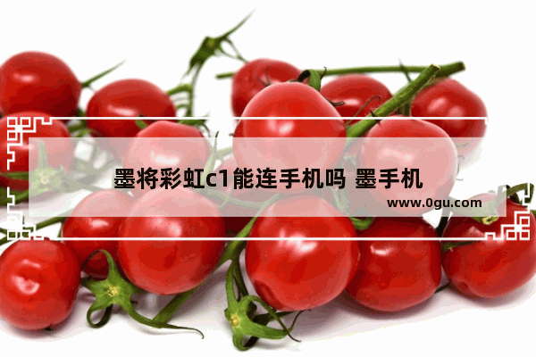 墨将彩虹c1能连手机吗 墨手机