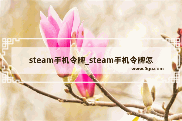 steam手机令牌_steam手机令牌怎么下载和绑定