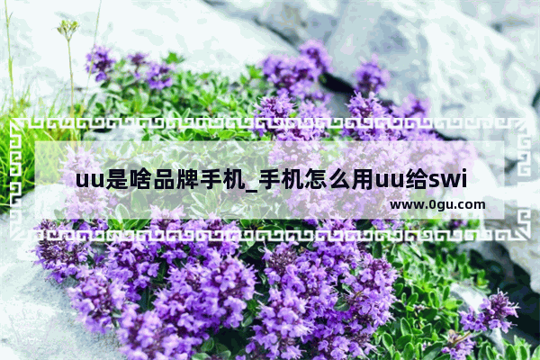 uu是啥品牌手机_手机怎么用uu给switch加速