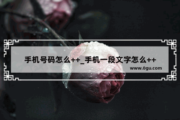 手机号码怎么++_手机一段文字怎么++