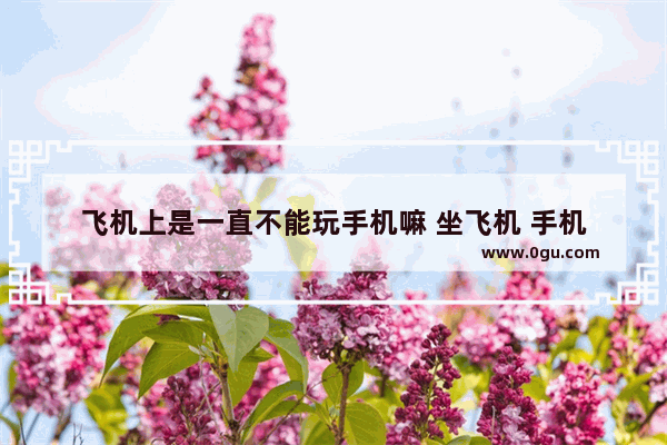 飞机上是一直不能玩手机嘛 坐飞机 手机