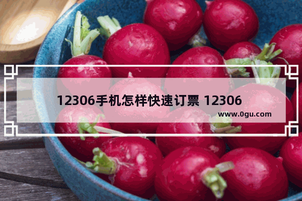 12306手机怎样快速订票 12306 手机