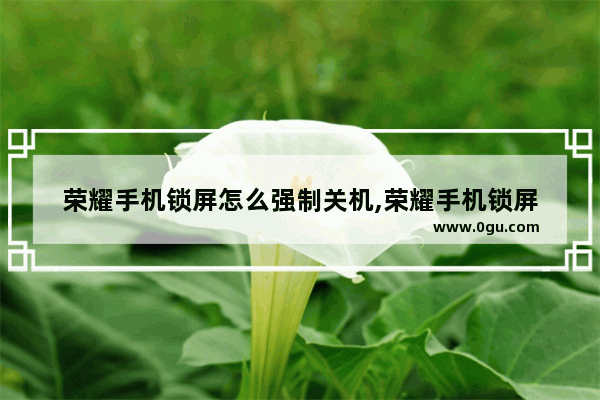 荣耀手机锁屏怎么强制关机,荣耀手机锁屏