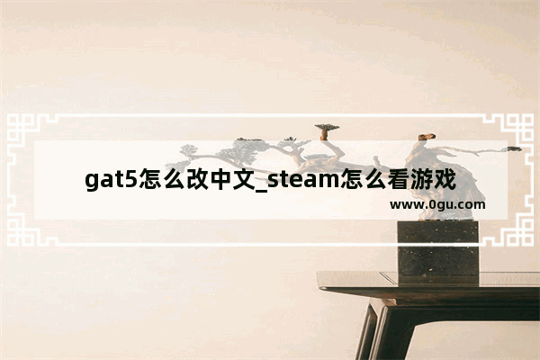 gat5怎么改中文_steam怎么看游戏版本
