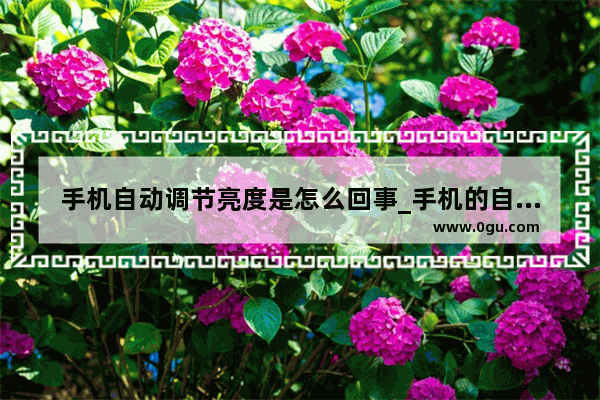 手机自动调节亮度是怎么回事_手机的自动亮度怎么调