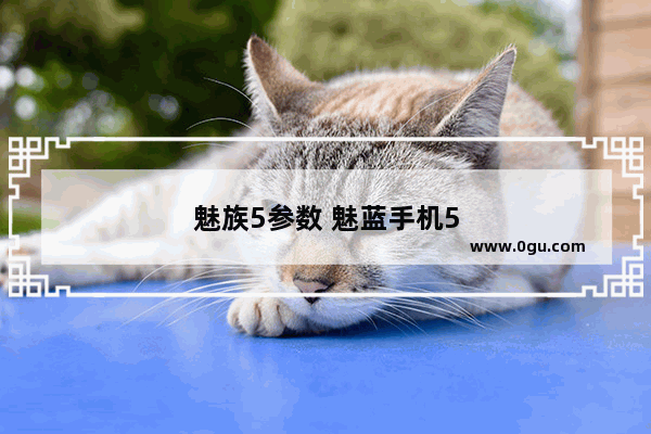 魅族5参数 魅蓝手机5