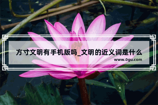 方寸文明有手机版吗_文明的近义词是什么