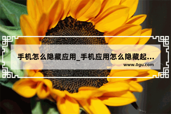 手机怎么隐藏应用_手机应用怎么隐藏起来啊