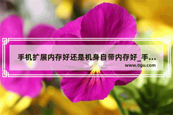 手机扩展内存好还是机身自带内存好_手机运行内存能换吗