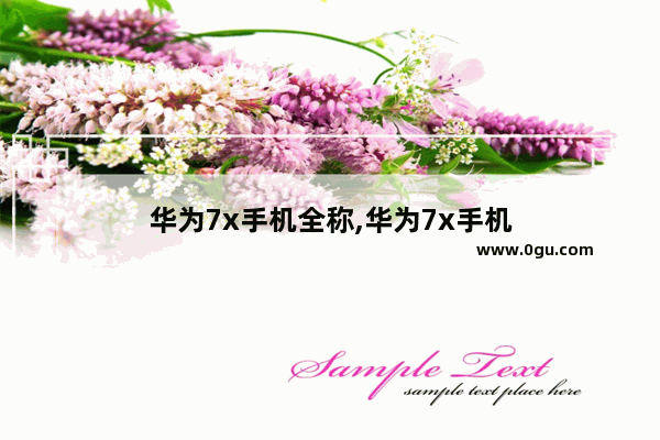 华为7x手机全称,华为7x手机