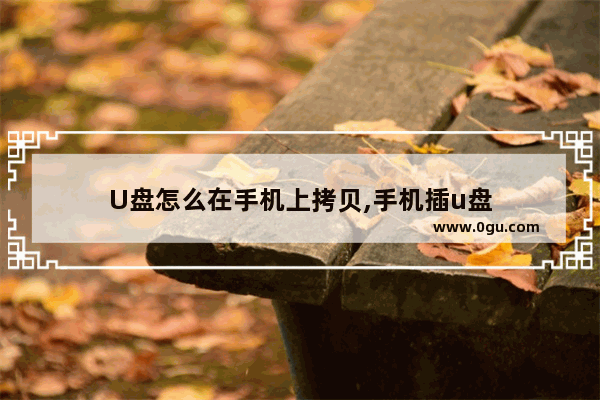 U盘怎么在手机上拷贝,手机插u盘