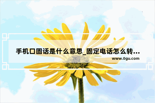 手机口固话是什么意思_固定电话怎么转接到手机