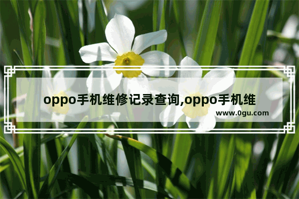 oppo手机维修记录查询,oppo手机维修