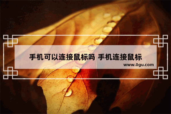 手机可以连接鼠标吗 手机连接鼠标