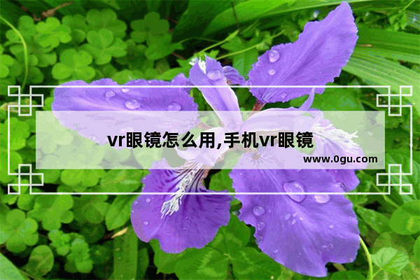 vr眼镜怎么用,手机vr眼镜