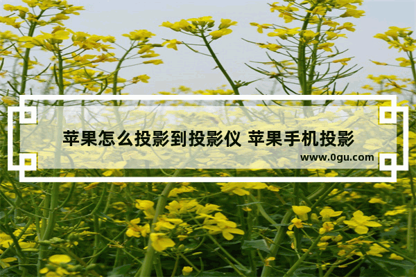 苹果怎么投影到投影仪 苹果手机投影