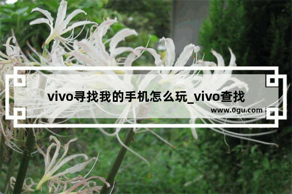 vivo寻找我的手机怎么玩_vivo查找手机官网入口
