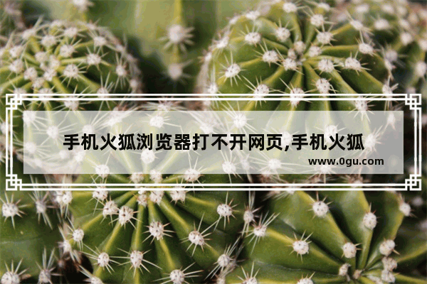 手机火狐浏览器打不开网页,手机火狐