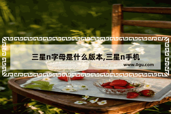 三星n字母是什么版本,三星n手机