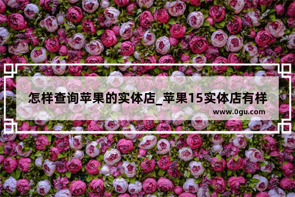 怎样查询苹果的实体店_苹果15实体店有样机吗