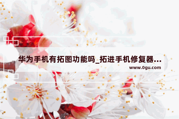 华为手机有拓图功能吗_拓进手机修复器是华为生产的吗