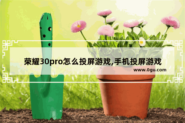 荣耀30pro怎么投屏游戏,手机投屏游戏