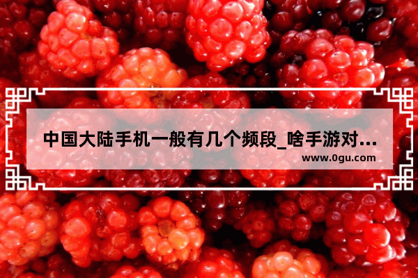 中国大陆手机一般有几个频段_啥手游对手机配置要求最高