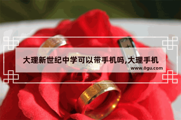 大理新世纪中学可以带手机吗,大理手机