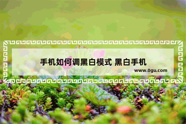 手机如何调黑白模式 黑白手机