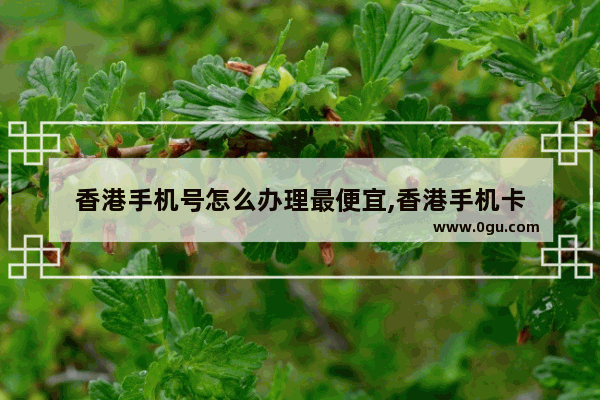 香港手机号怎么办理最便宜,香港手机卡