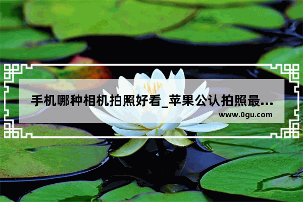 手机哪种相机拍照好看_苹果公认拍照最好的三款手机