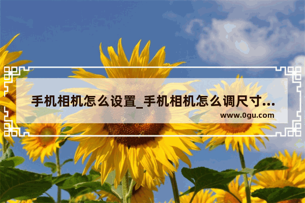 手机相机怎么设置_手机相机怎么调尺寸大小