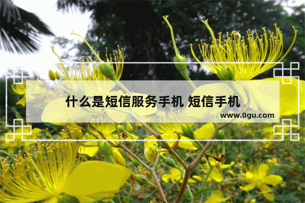 什么是短信服务手机 短信手机