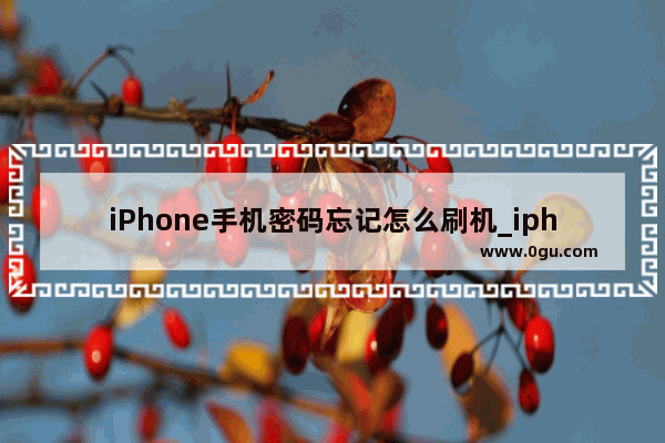 iPhone手机密码忘记怎么刷机_iphone怎么刷机成新手机