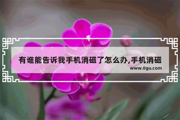 有谁能告诉我手机消磁了怎么办,手机消磁