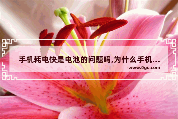 手机耗电快是电池的问题吗,为什么手机耗电