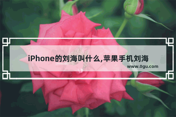 iPhone的刘海叫什么,苹果手机刘海