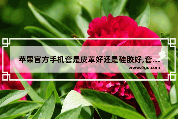 苹果官方手机套是皮革好还是硅胶好,套苹果手机